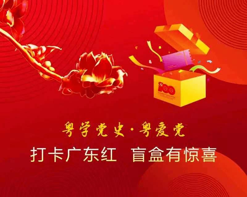 拯救受伤的猫